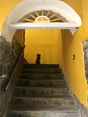 Staircase - Sight Qoricancha (Cusco)
