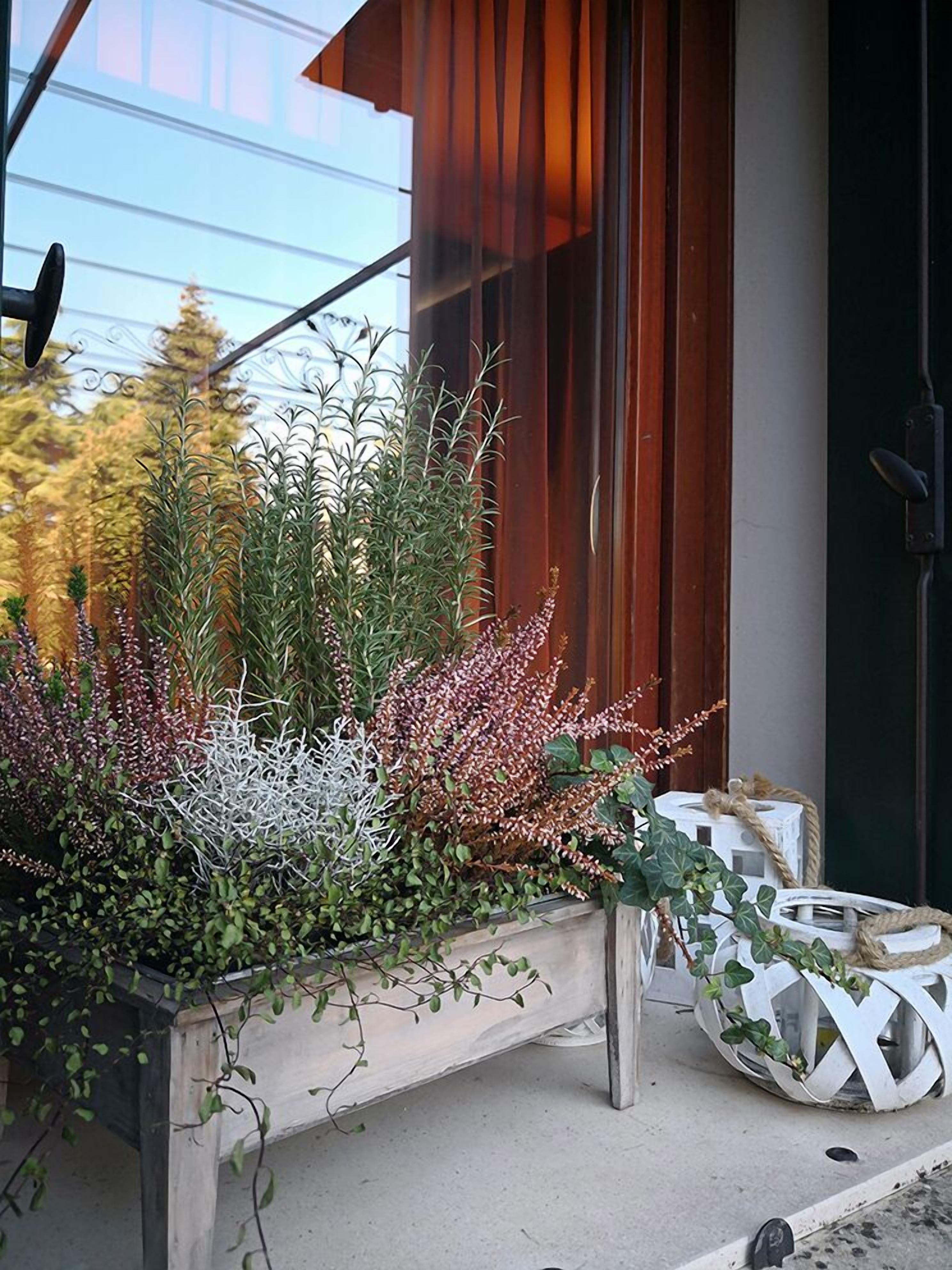 A modern building with a large window and a planter with various plants.