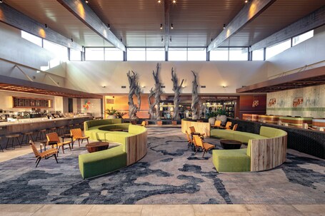 Universal's Endless Summer Resort Dockside Inn and Suites - Image 19
