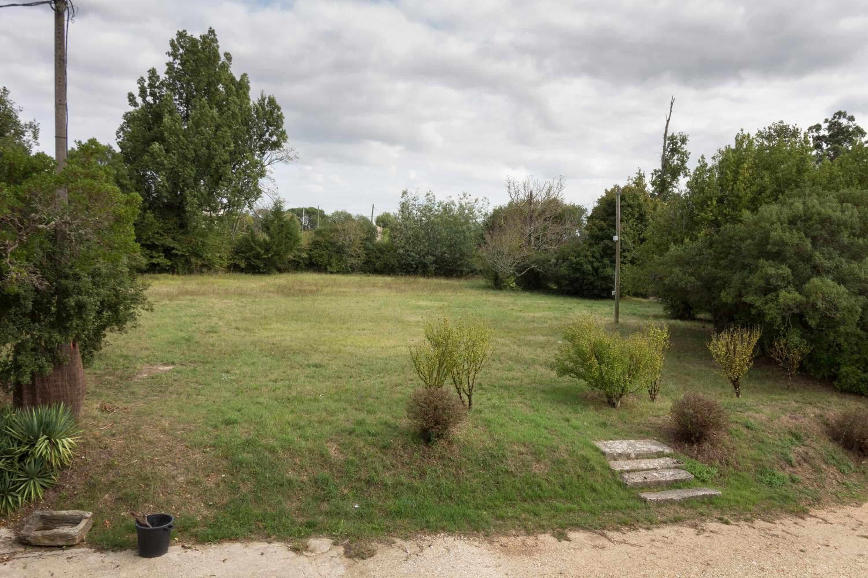 A grassy yard with a stone path leading to a house.
