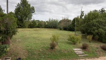 A grassy yard with a stone path leading to a house.