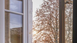 Una habitación con un ventanal grande, un radiador y vistas a árboles.