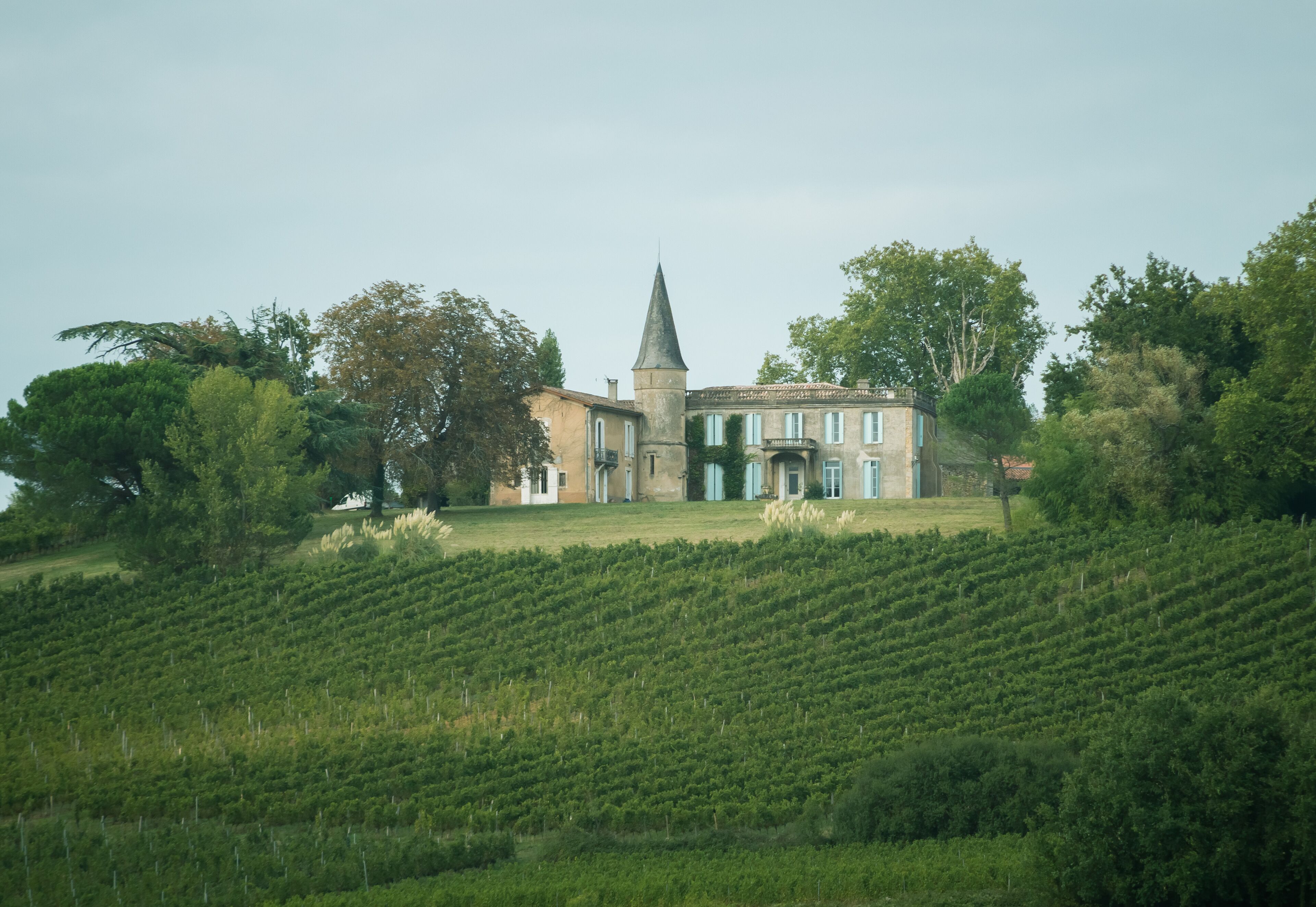 A large building with a prominent tower, surrounded by lush greenery and a vineyard.