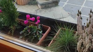 Une terrasse sur le toit agrémentée de plantes en pot, une cheminée en briques et une vue sur un paysage montagneux.