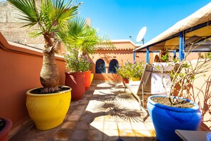 Garden - Riad Kamal (Marrakech)