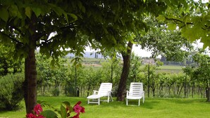 A garden with two white chairs under a tree, a paved walkway, and a view of a vineyard. - Agriturismo El Crear (San Pietro in Cariano)