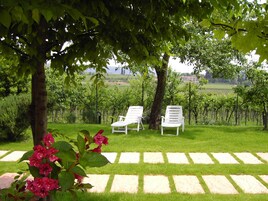 A garden with two white chairs under a tree, a paved walkway, and a view of a vineyard.