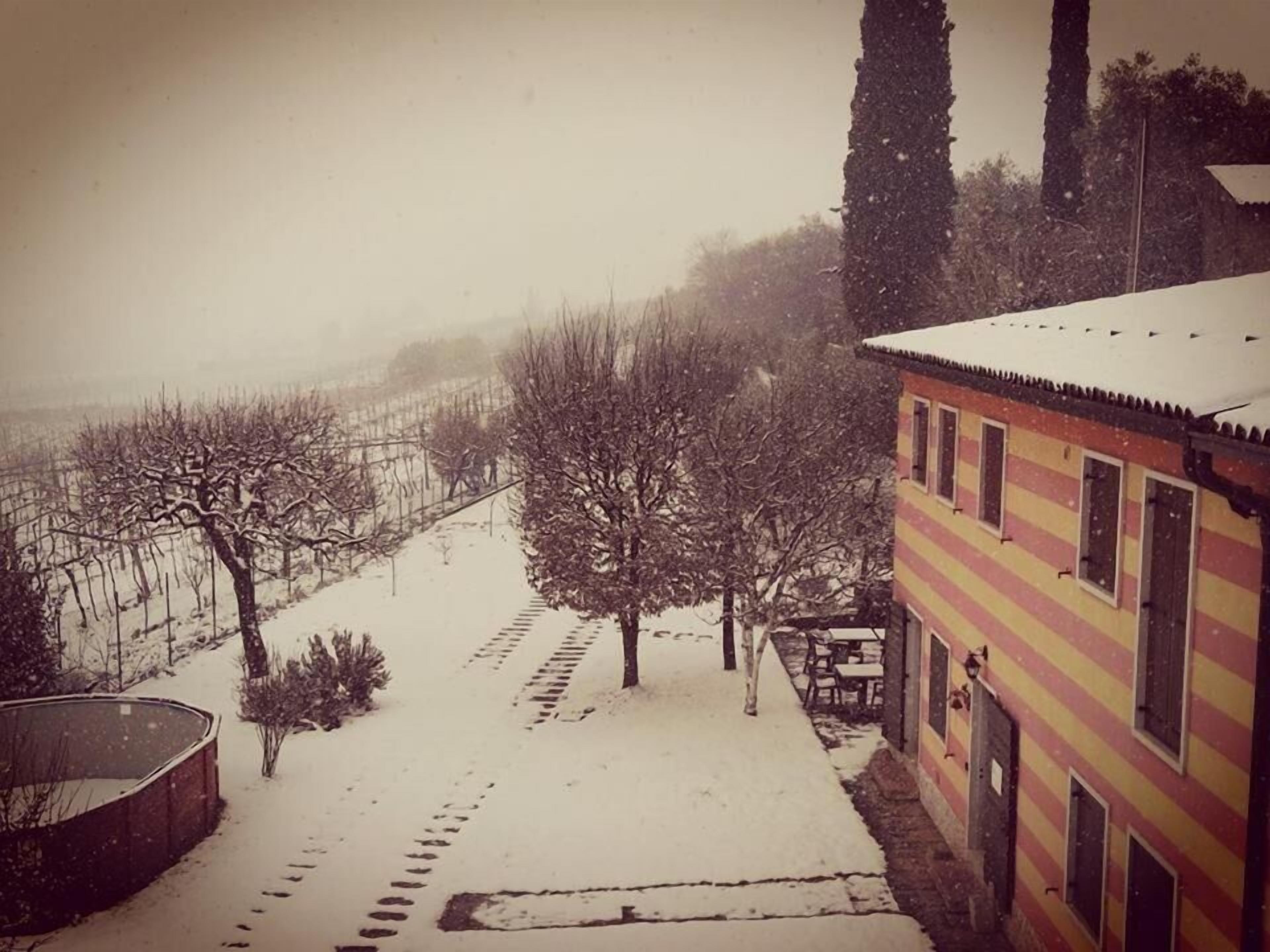 Ein mit Schnee bedeckter Weg durch einen Weinberg, der zu einem Gebäude mit einer gestreiften Fassade führt.