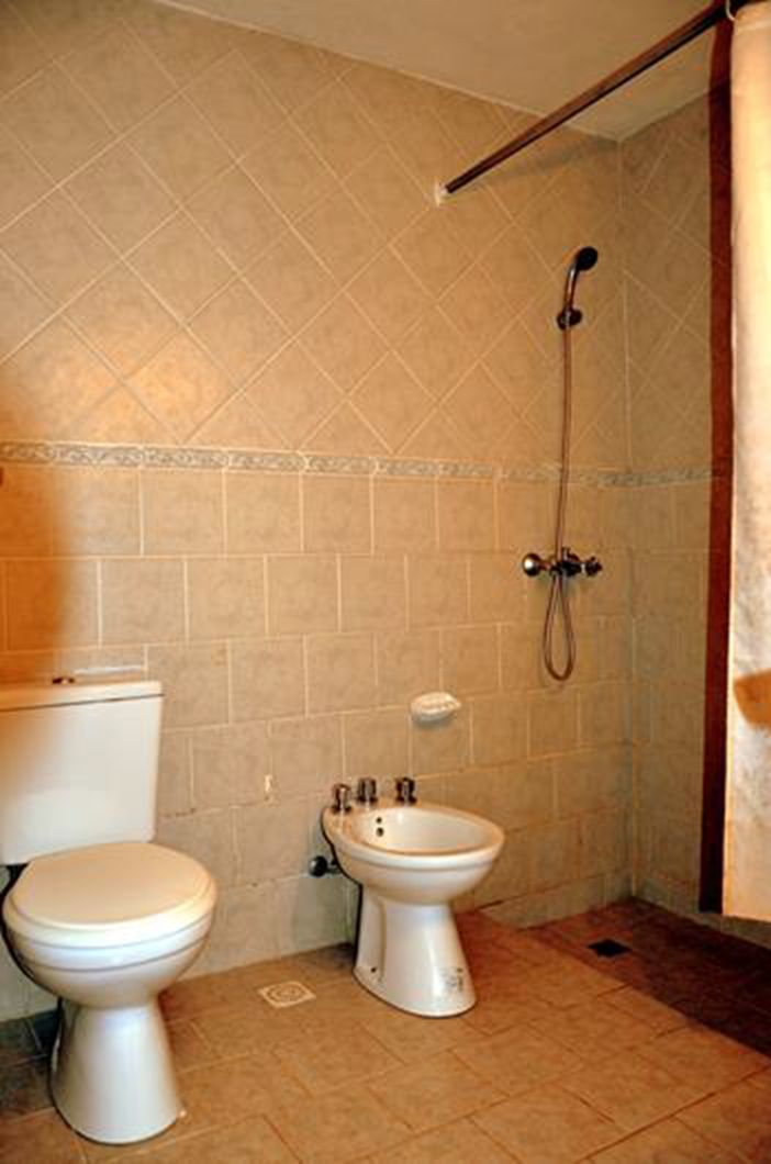 A bathroom with a toilet, bidet, and shower.