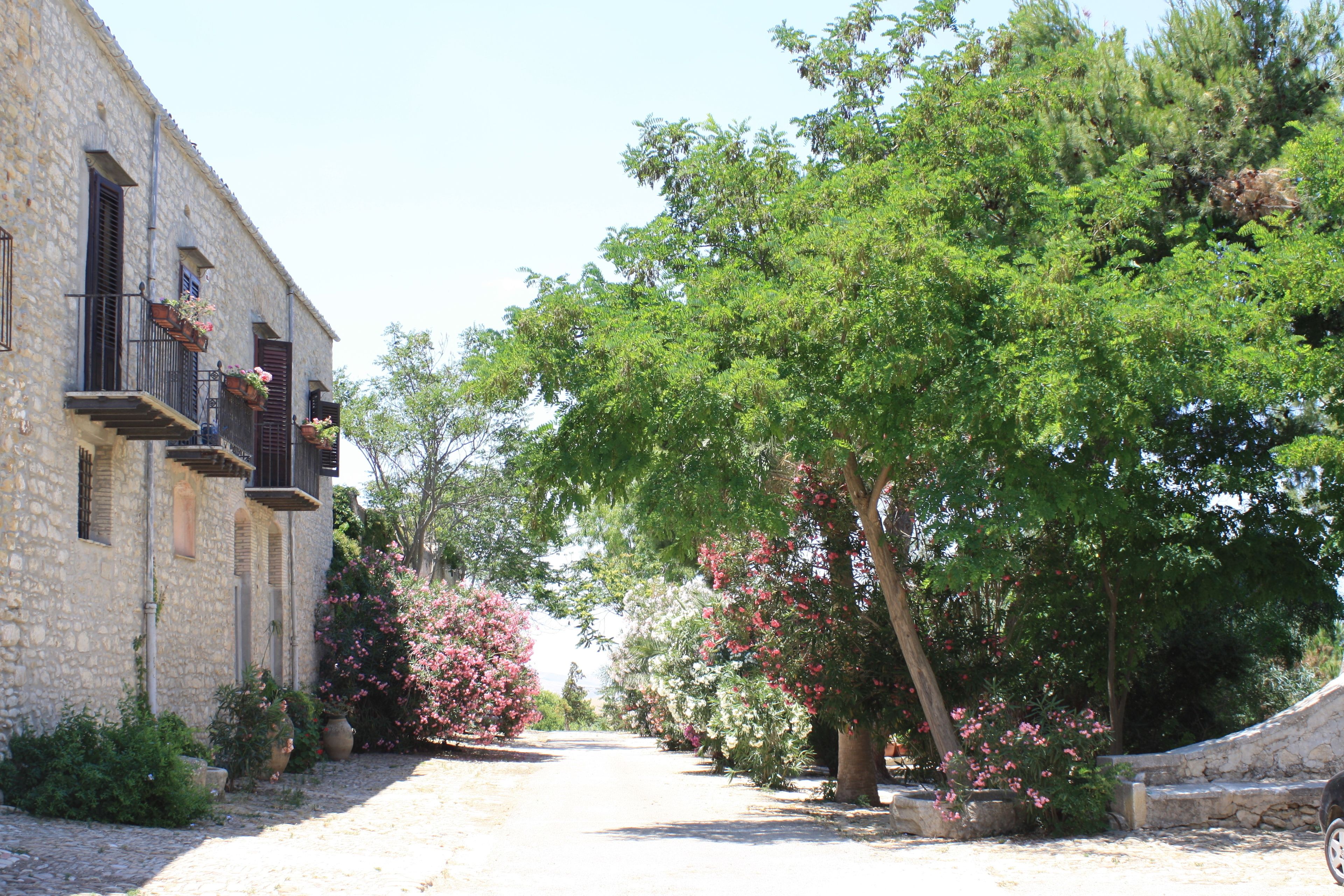 A stone building with balconies, a cobblestone path, and flowering trees.