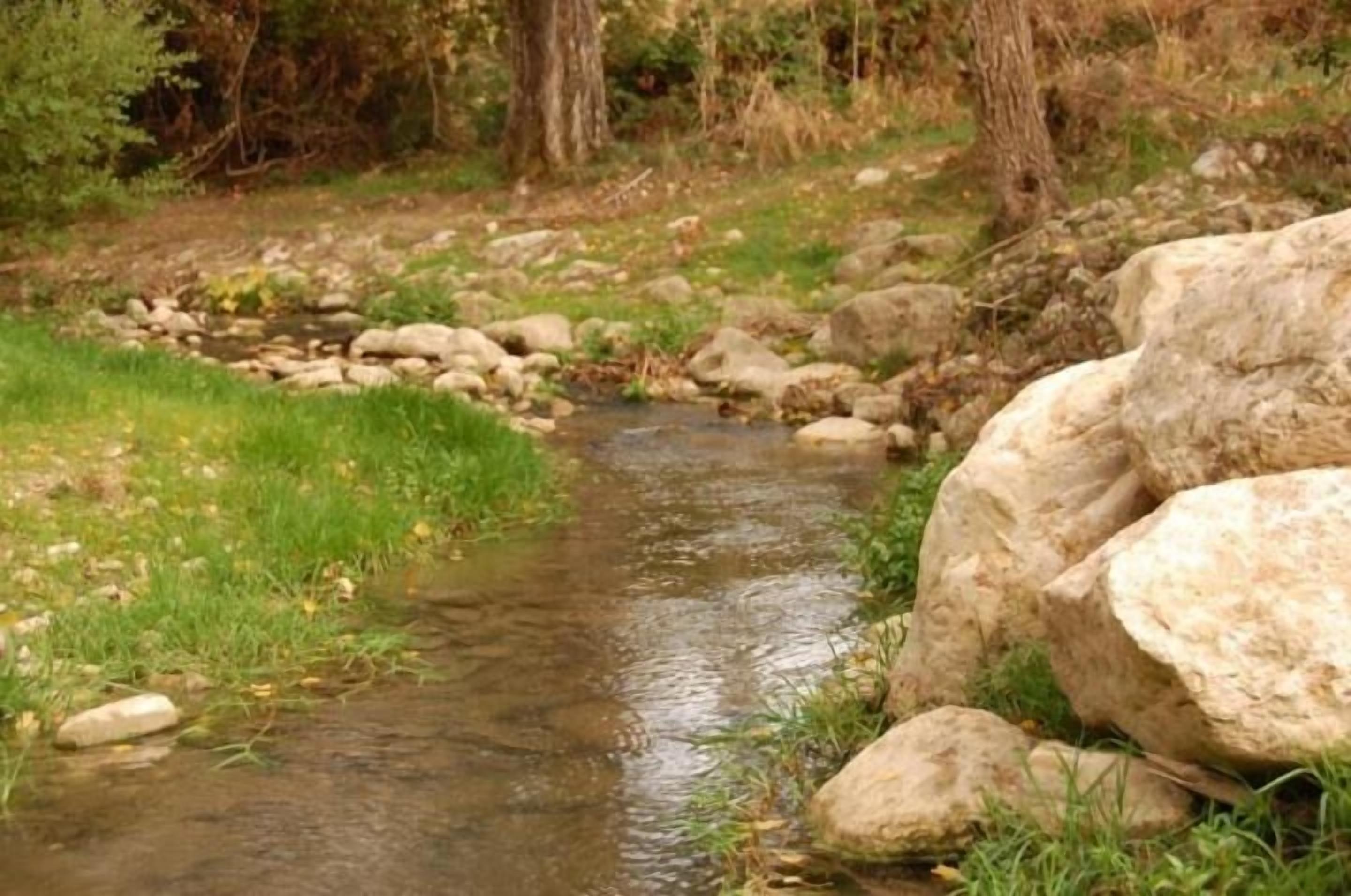 Un piccolo ruscello con rocce ed erba sulle rive.