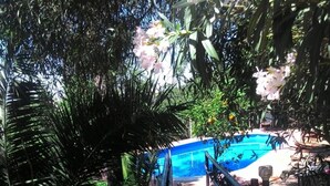 A pathway leading to a pool surrounded by lush greenery and a wooden fence. - Ridocco Agriturismo (Campofiorito)
