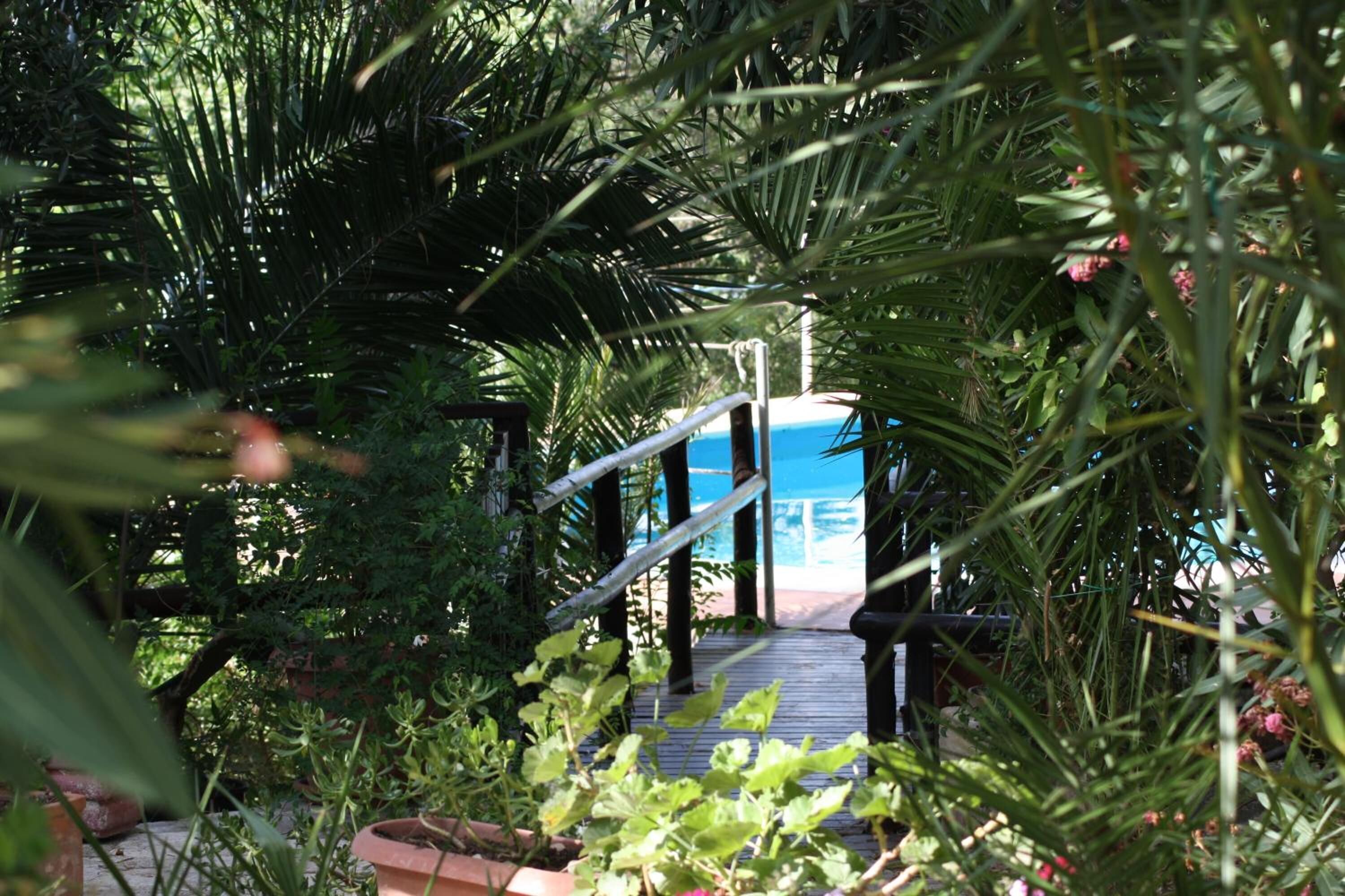 Un pontile in legno conduce a una zona piscina immersa nel verde.