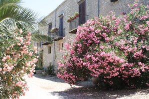 Front of property - Ridocco Agriturismo (Campofiorito)