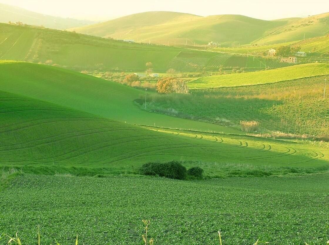 Un paysage rural avec des collines verdoyantes et une petite construction visible au loin.