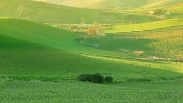 Un paysage rural avec des collines verdoyantes et une petite construction visible au loin.