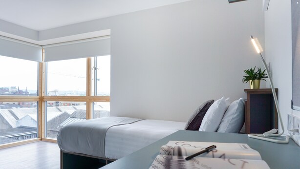 Quarto de hotel moderno com uma janela ampla, uma cama com colcha cinza, uma mesa de cabeceira com abajur e um vaso de plantas.