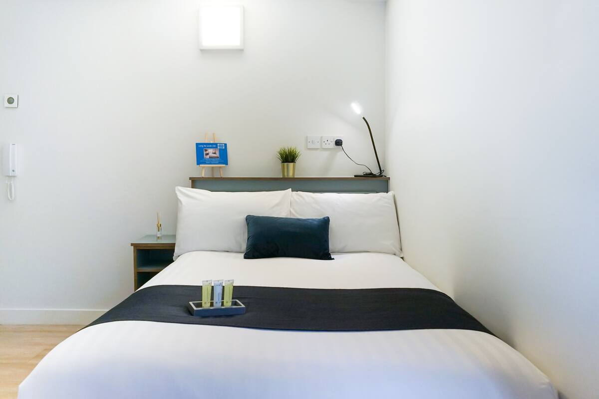 A neatly arranged hotel room with a bed, bedside table, lamp, and a small potted plant.