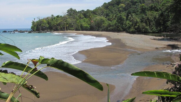 A beach with clear water, sandy shore, and lush greenery. - Jonny's cabins drake day (Drake Bay)