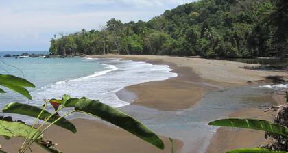 Jonny's cabins drake day