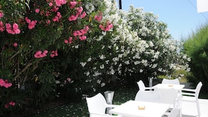 An outdoor seating area with white tables and chairs, surrounded by lush greenery and flowering plants. - Vicky's Garden (Zakynthos)