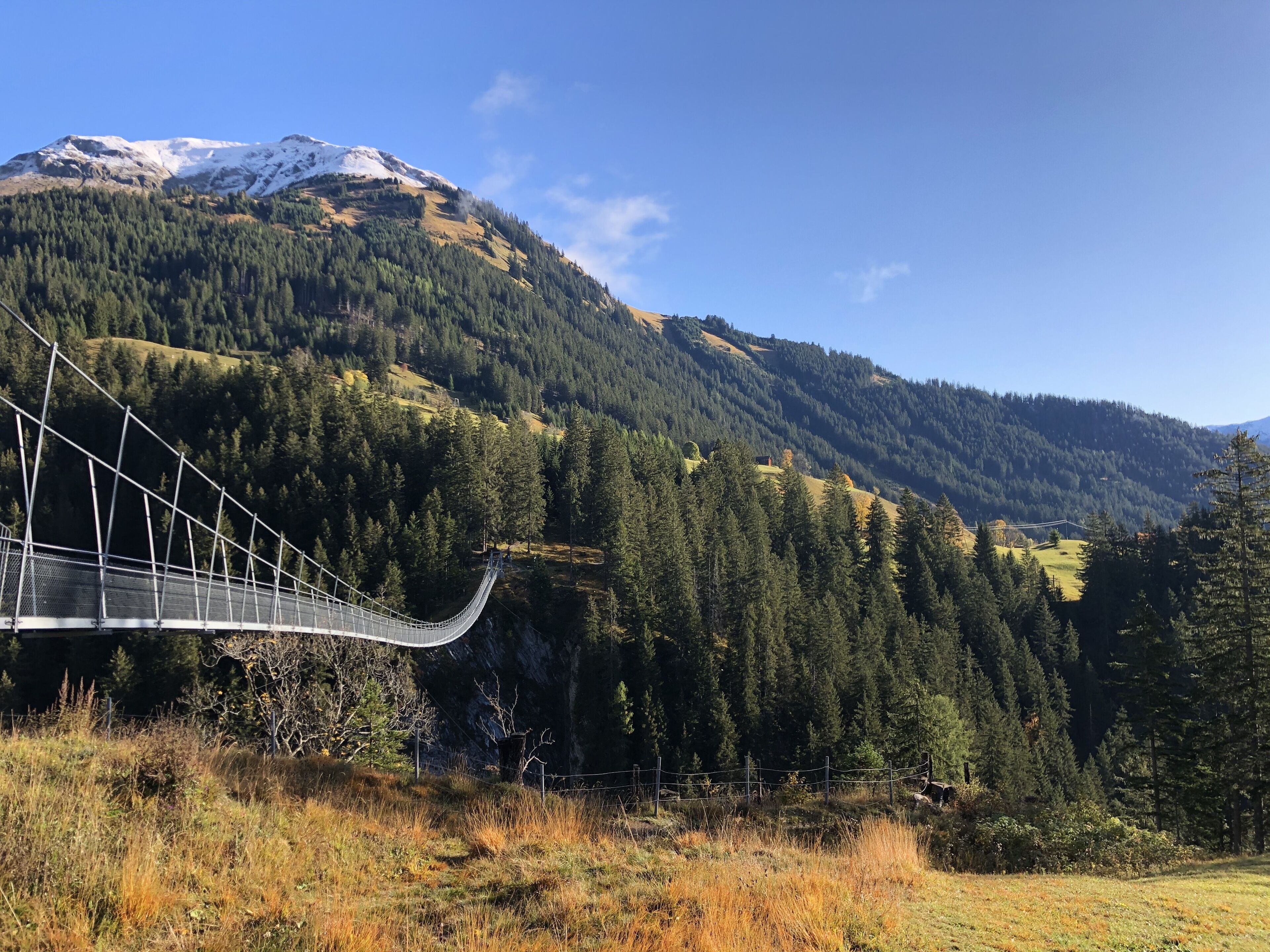 Eine Hängebrücke über einem Tal mit einem Berg im Hintergrund.
