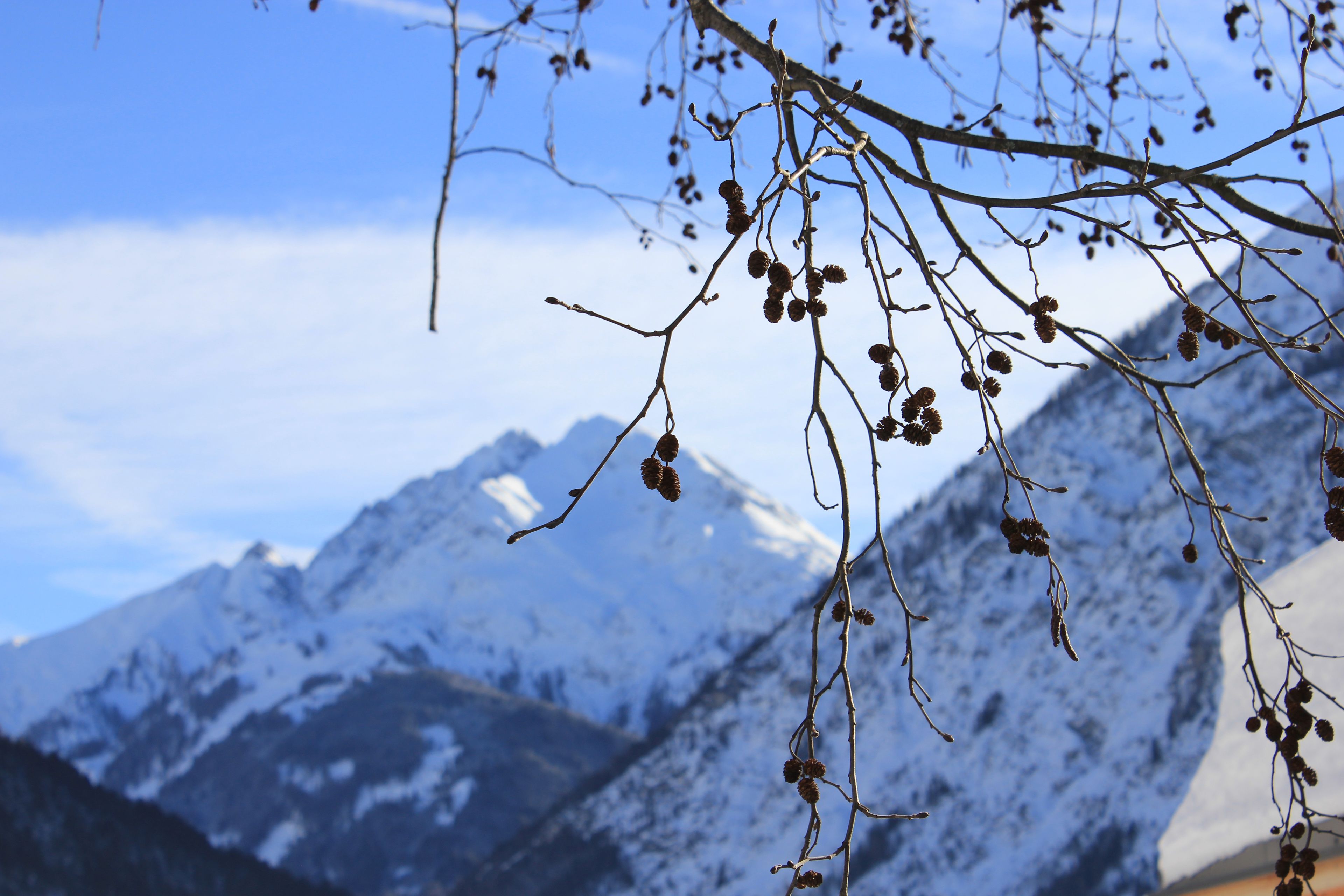 Paisaje montañoso con picos nevados y cielo despejado.