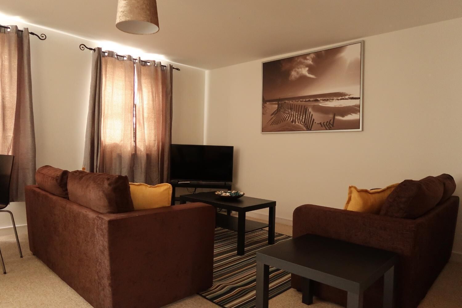 Flat-screen TV, Netflix