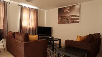 Flat-screen TV, Netflix