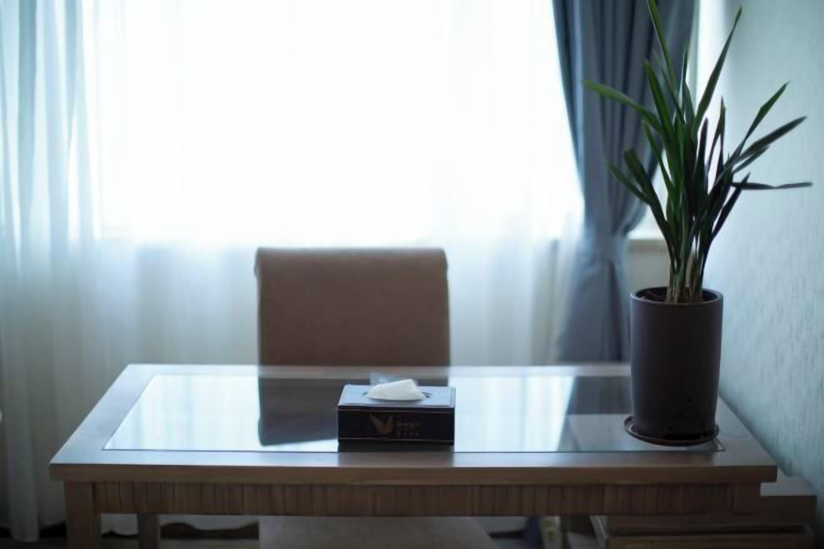 A hotel room with a glass-top table, a tissue box, and a potted plant.