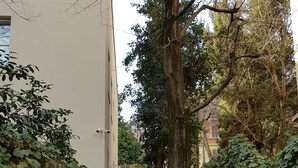 A set of stone steps leading up to a building with a white facade, surrounded by greenery and trees. - Villa Gotti Charming Rooms (Bologna)