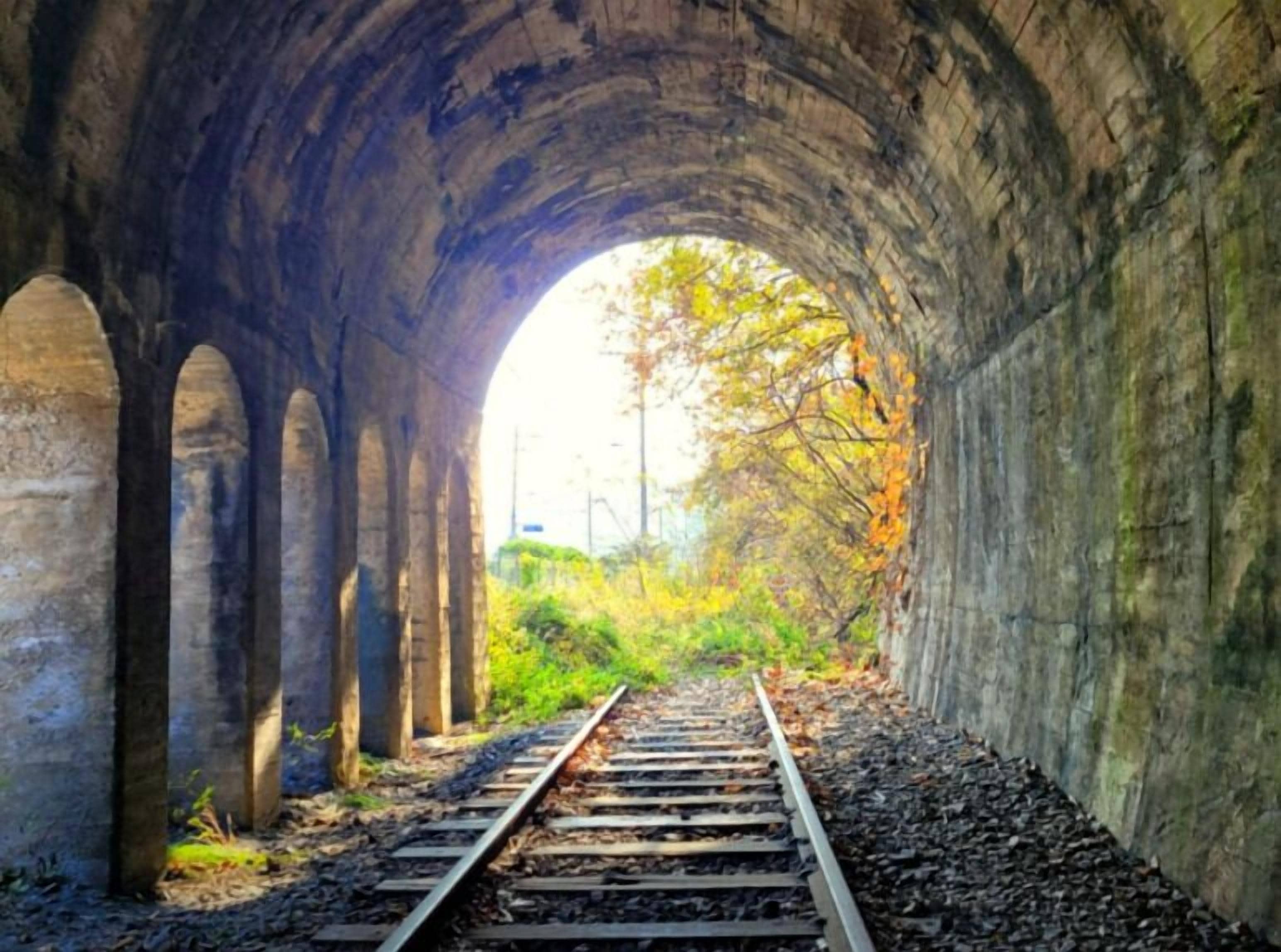 children’s activities