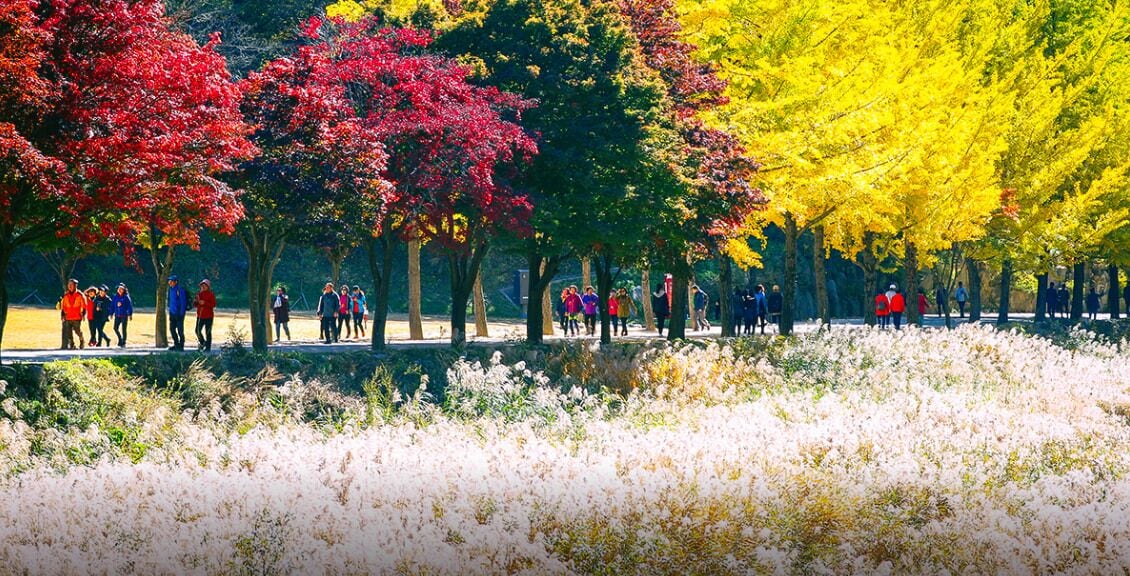 children’s activities