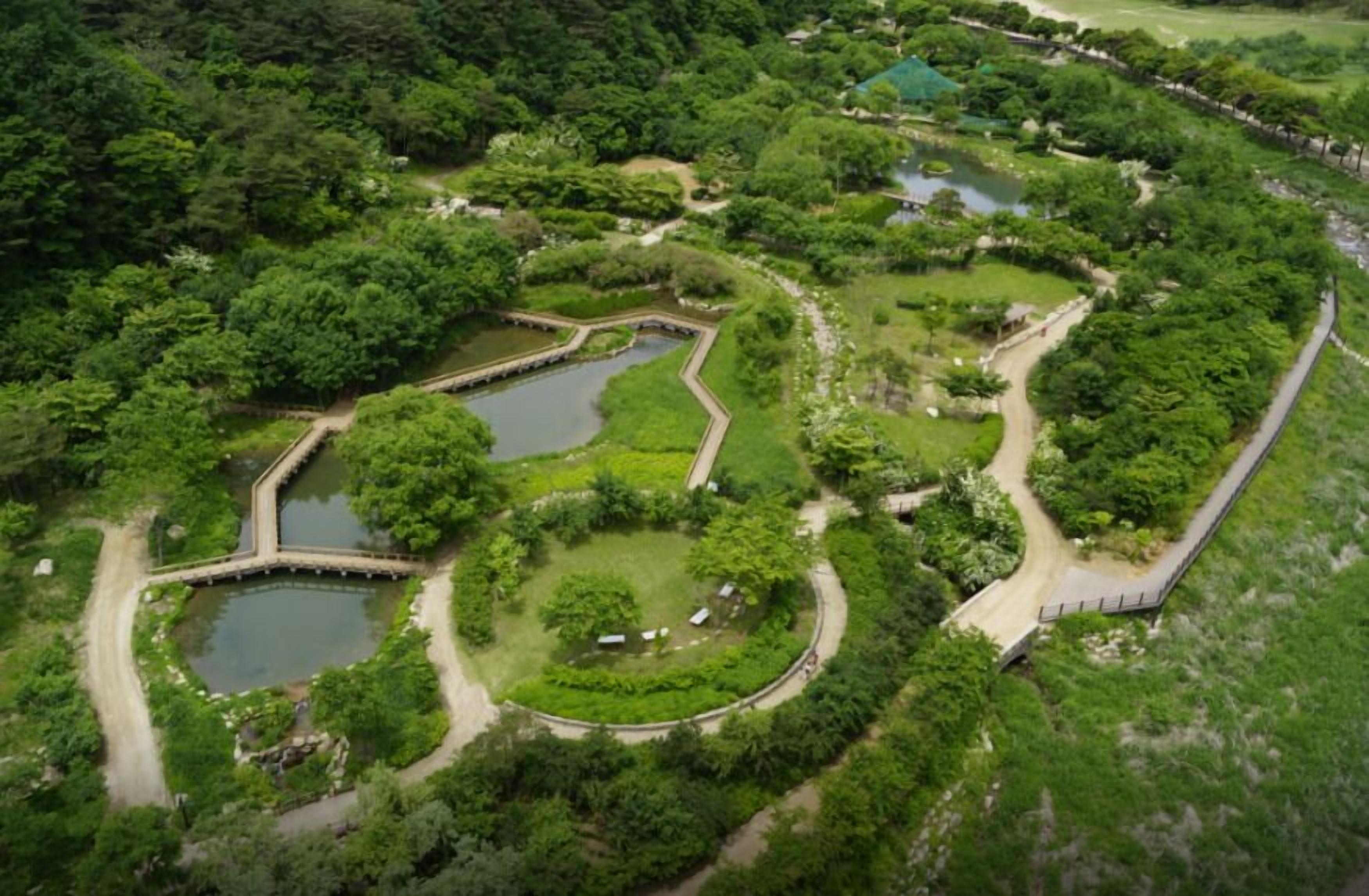 children’s activities