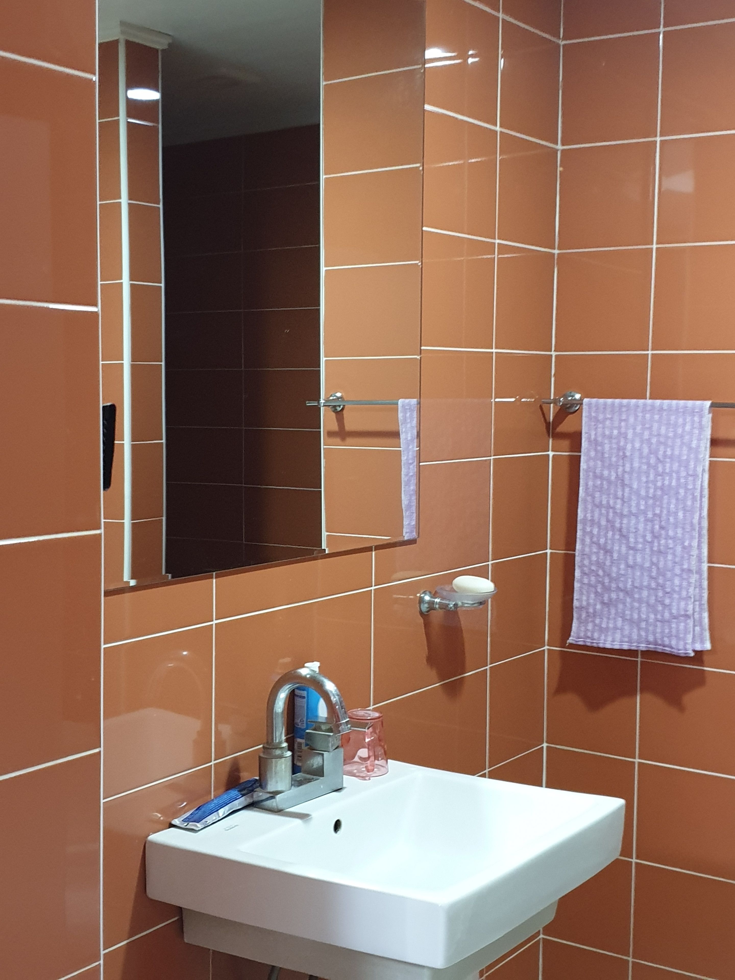 Standard Room (Bed type) | Bathroom | Separate tub and shower, free toiletries, hair dryer, towels