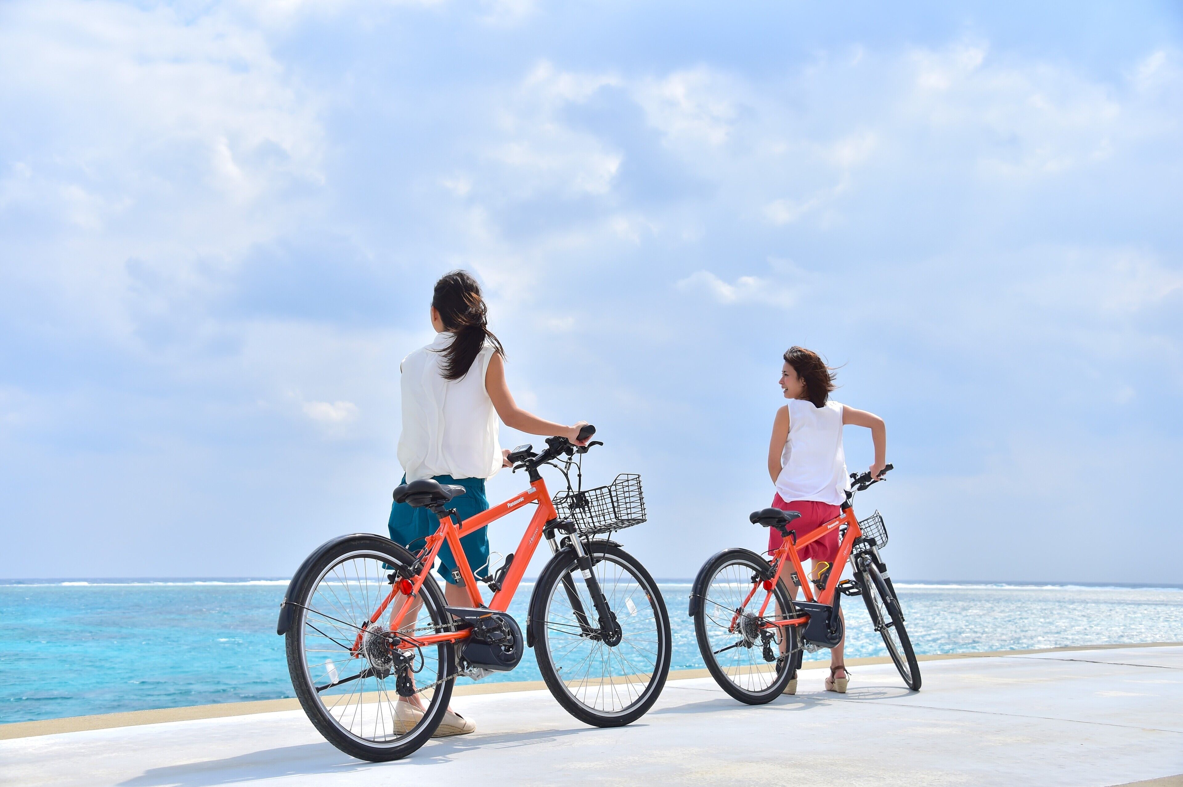 Two people on bicycles by the sea, with a clear sky.