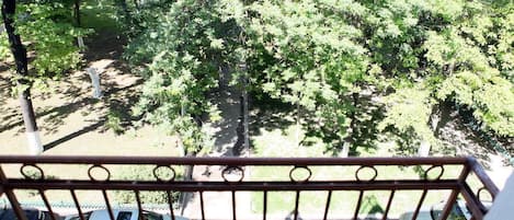 Standard Double or Twin Room | View from room