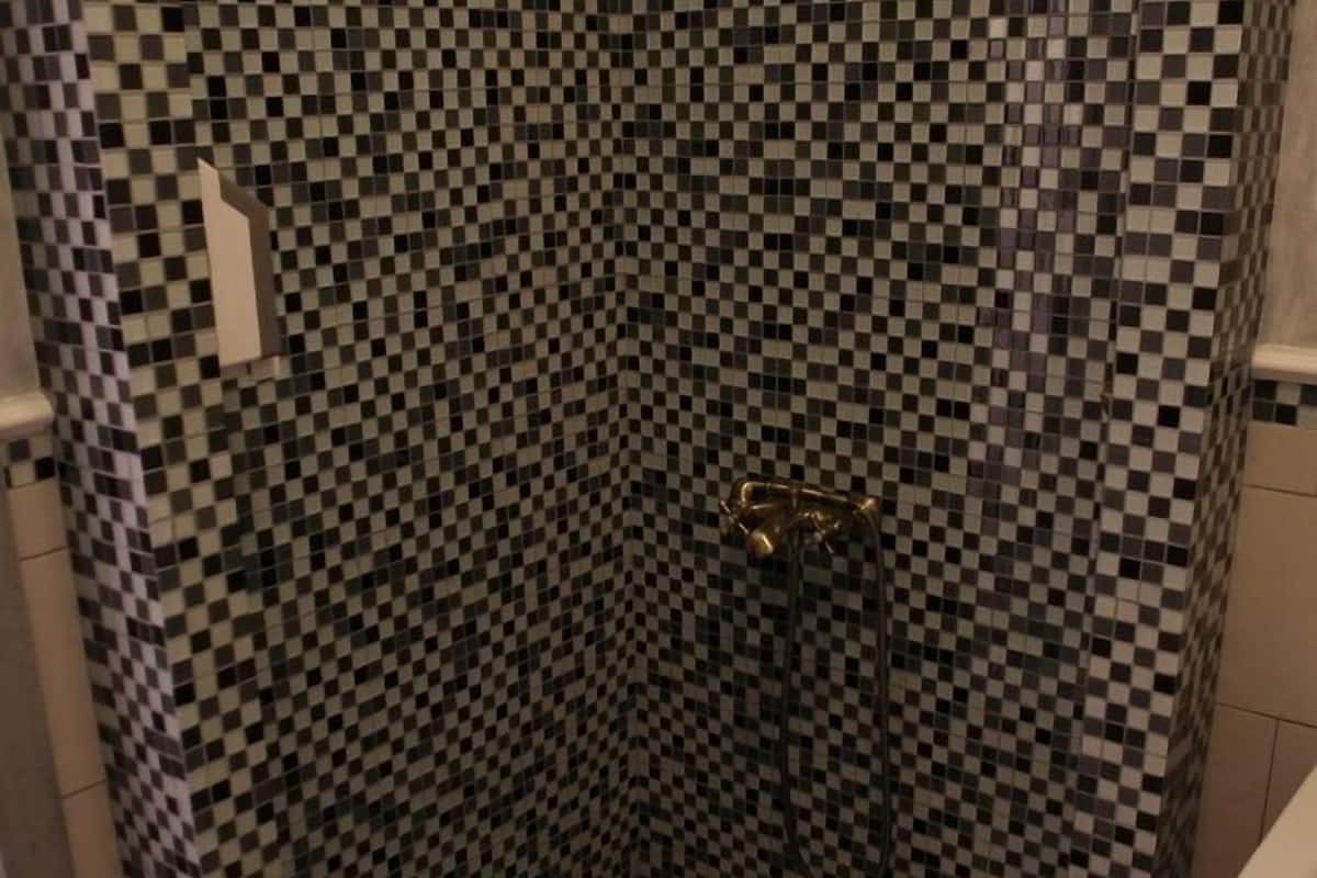 standard double or twin room | bathroom shower