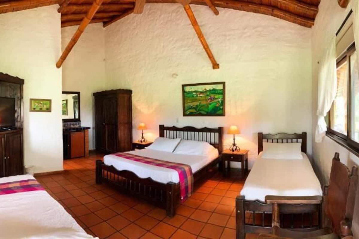 Caja de seguridad en la habitación, wifi gratis y ropa de cama 