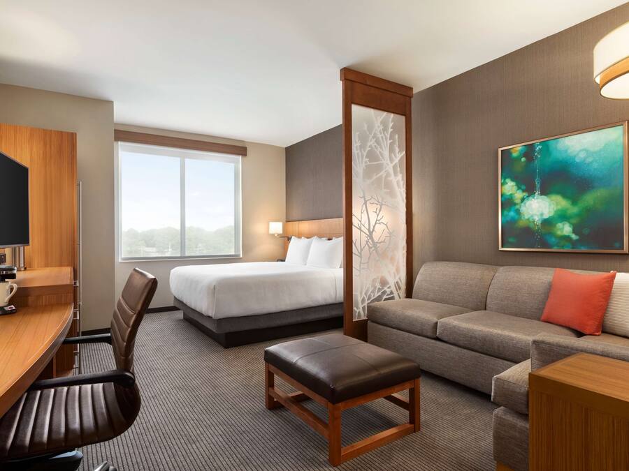 A hotel room with a bed, a sofa, a desk with a chair, a TV, and a window with a view.