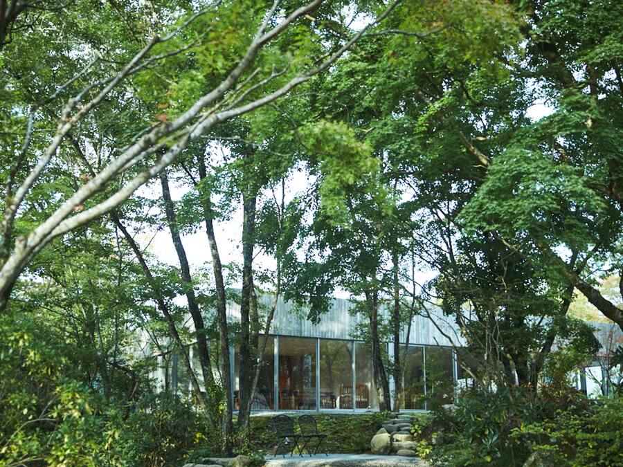 A modern building with large glass windows surrounded by dense trees.