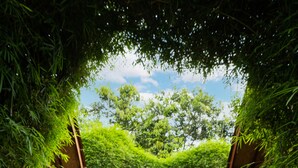 A pathway flanked by lush greenery and wooden structures, leading to a building. - Kubu Kak Dudung Villas (Jimbaran)
