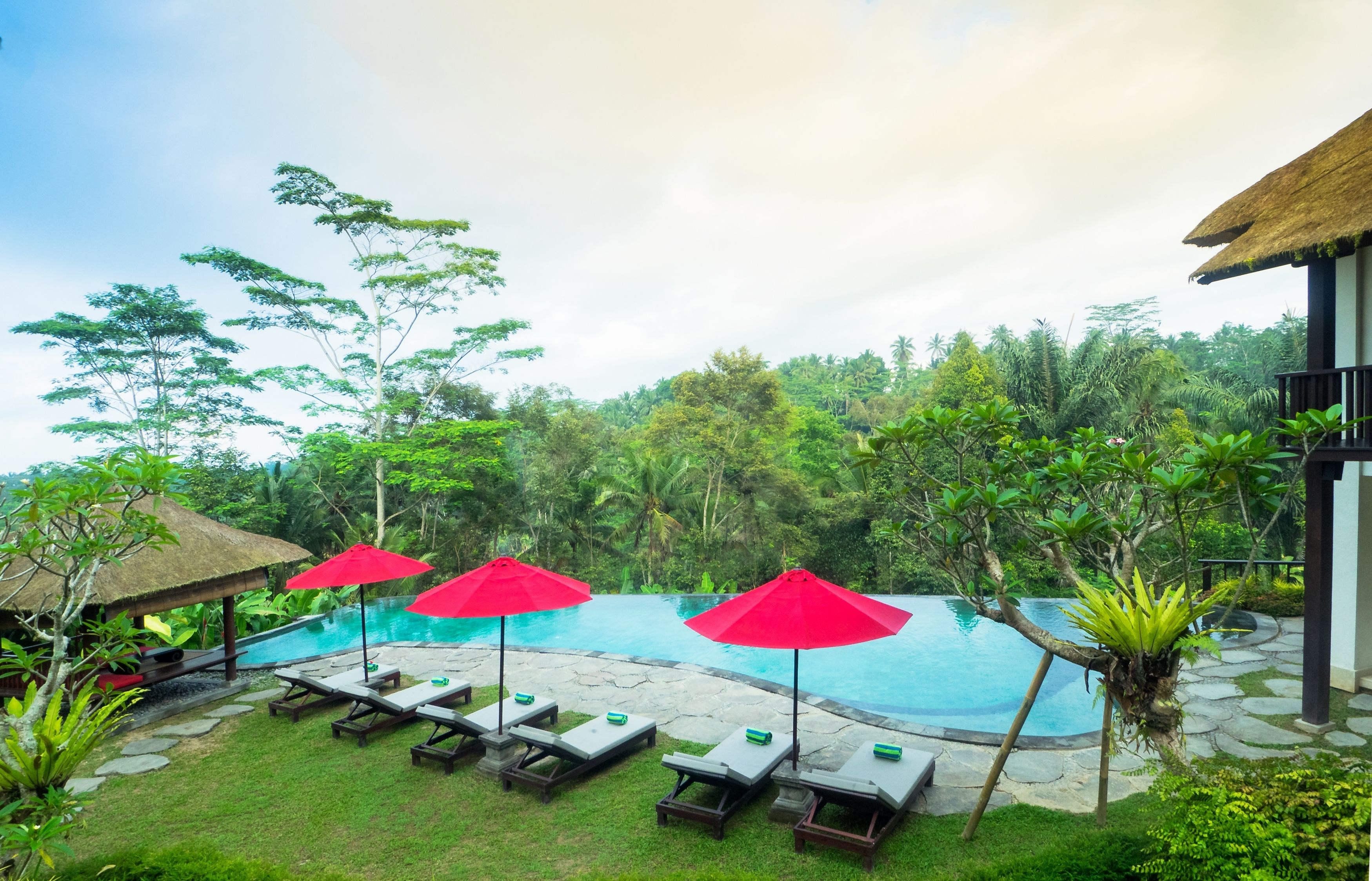 A pool area with lounge chairs and red umbrellas, surrounded by lush greenery and a thatched-roof structure.