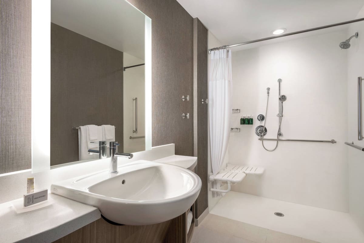 suite, 1 king bed with sofa bed, city view | bathroom | free toiletries, hair dryer, towels