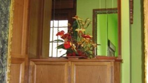 A wooden cabinet with a glass top, a potted plant, and a mirror on the wall. - Hotel Rural Casa Migio (Mieres)