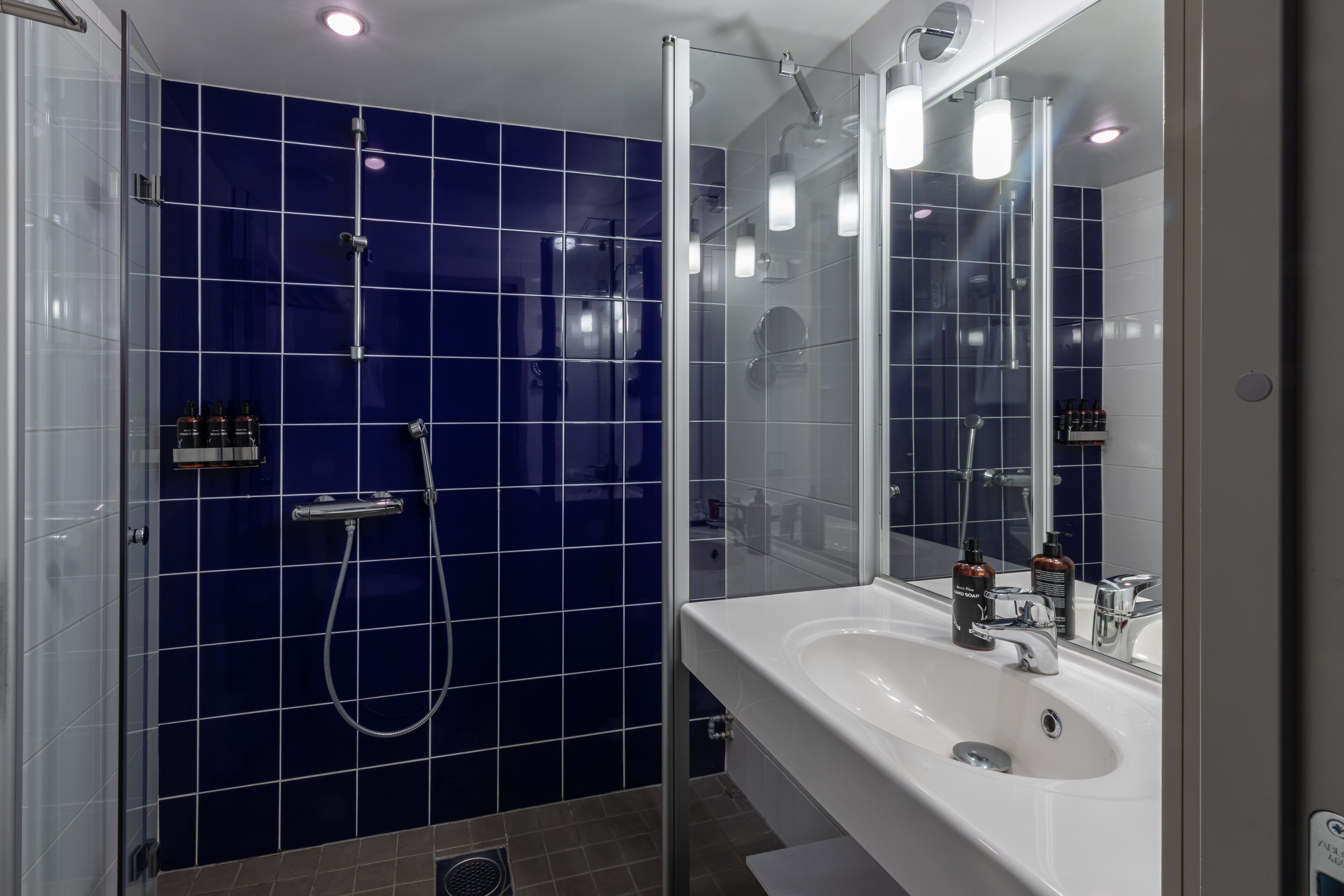 deluxe double room, 1 king bed | bathroom | free toiletries, hair dryer, bidet, towels