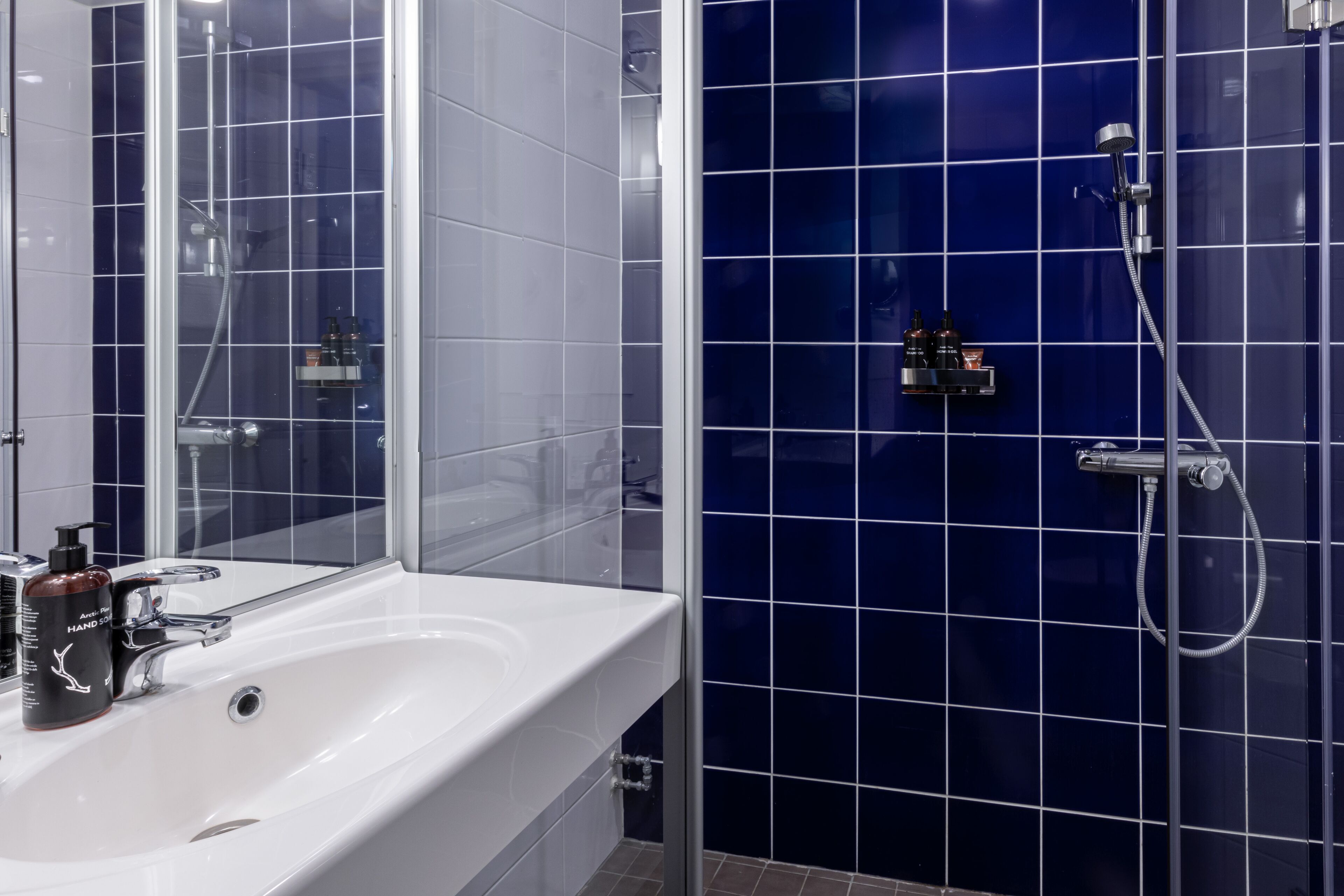 free toiletries, hair dryer, bidet, towels