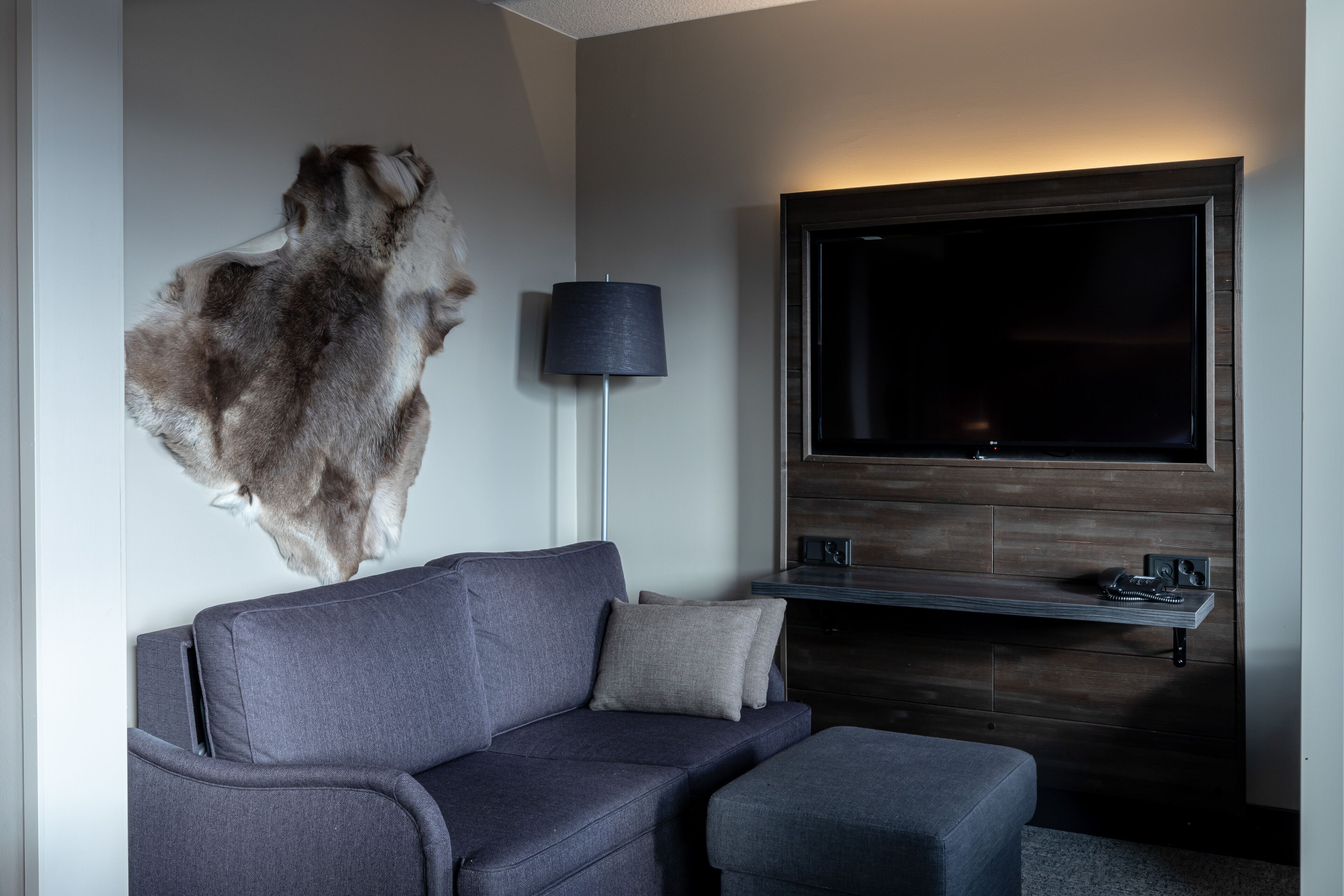 A modern living room with a grey sofa, a mounted animal head, a TV, and a floor lamp.