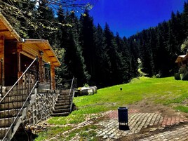 Family Bungalow | In-room safe, blackout drapes, soundproofing, free WiFi