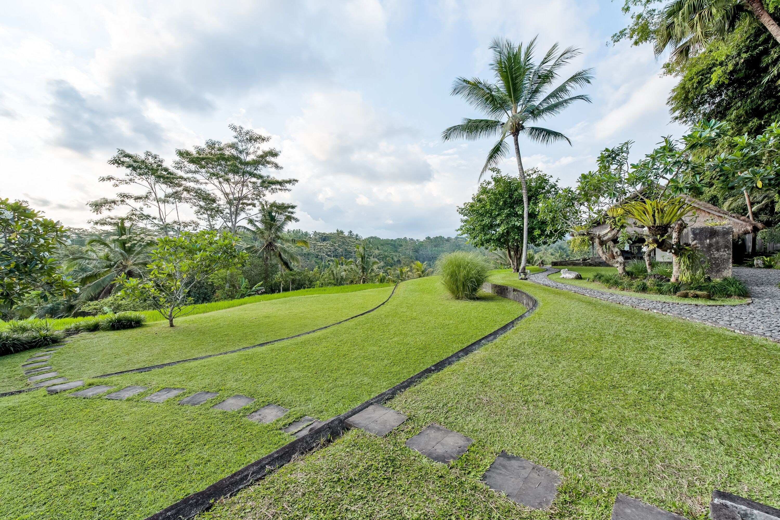 A well-maintained garden with a stone pathway, lush greenery, and a palm tree.